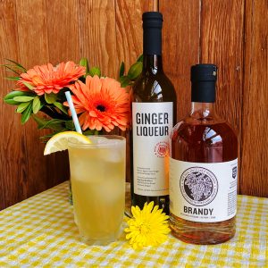 new deal willamette mule
