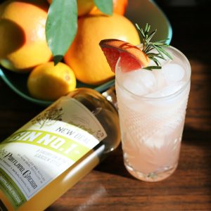 grapefruit gin fizz made with new deal gin no. 1