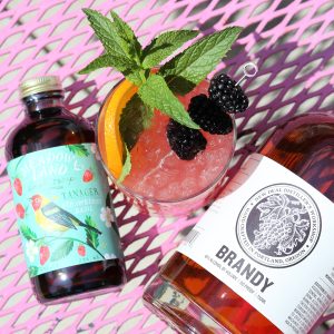 brandy cobbler with mint, blackberries, and an orange wheel pictured with Distiller's Workshop Brandy and Meadowland Tanager Strawberry Basil syrup
